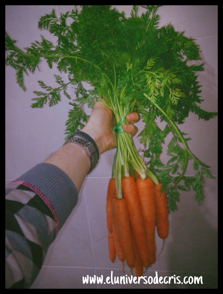 hoja verde zanahoria